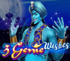 3 Genie Wishes