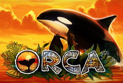 Orca