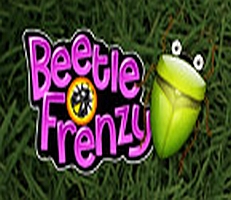 Beetle Frenzy