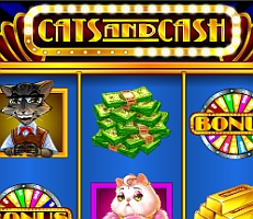 Cats and Cash