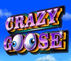 Crazy Goose