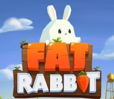 Fat Rabbit