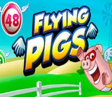 Flying Pigs