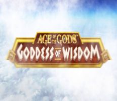 Goddess of Widsom