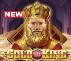 Gold King