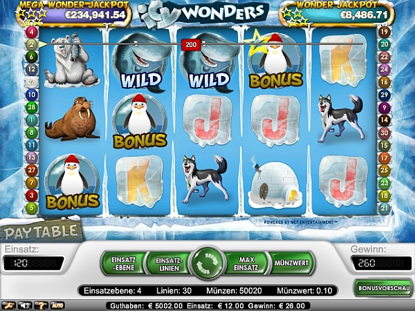 Icy Wonders online spielen