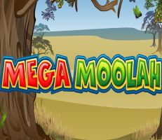 Mega Moolah Jackpot ausgespielt