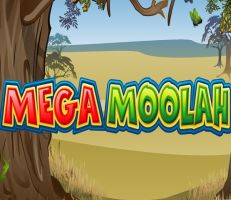 Mega Moolah Jackpot ausgespielt