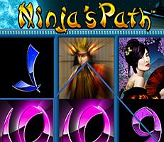 Ninjas Path