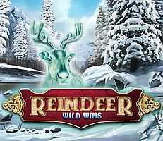 Reindeer Wild Wins