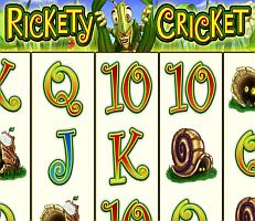 Rickety Cricket