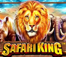 Safari King