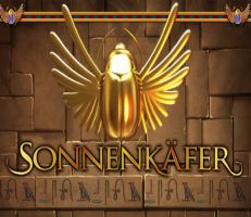 Sonnenkäfer