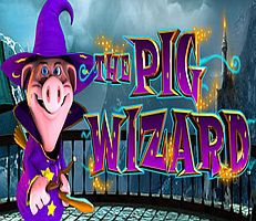 The Pig Wizard