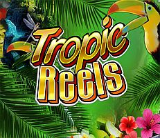 Tropic Reels