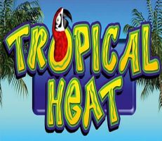 Tropical Heat