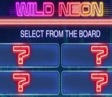 Wild Neon